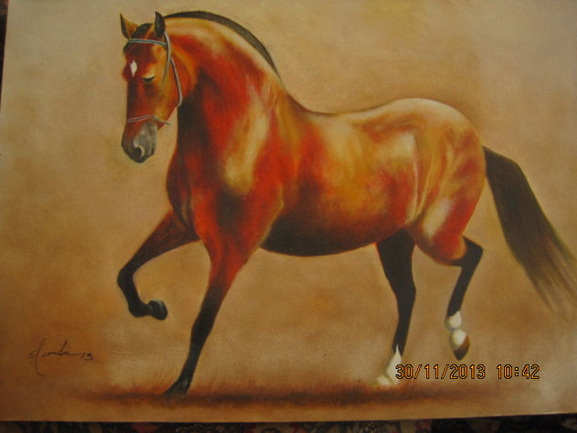 CABALLO