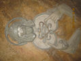 SAGRADO ROSTRO