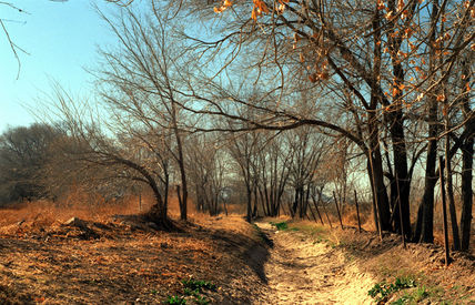 Nature