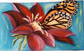 mariposa soñadora