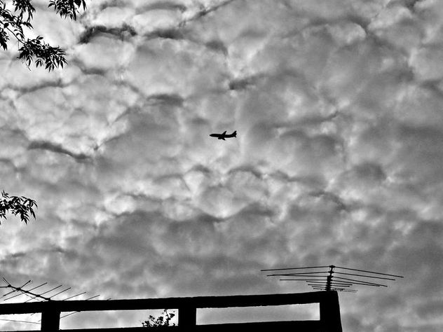 pajaro de metal