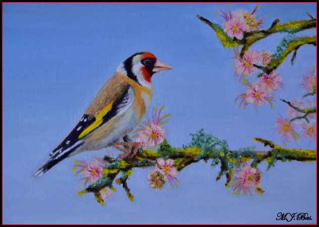 El jilguero y la primavera.