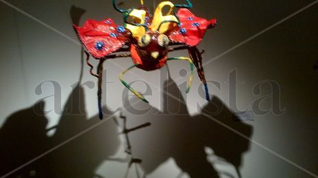 Mosca Luchadora