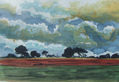 paisaje,rural