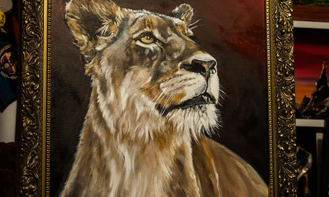 oil paintings