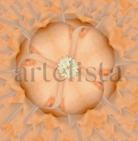 La rosa del mundo