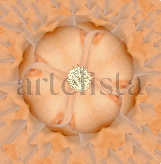 LA ROSA DEL MUNDO