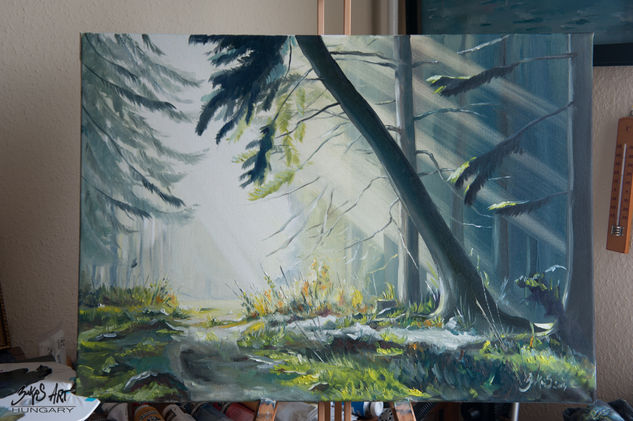 forest lights Oil Canvas Landscaping