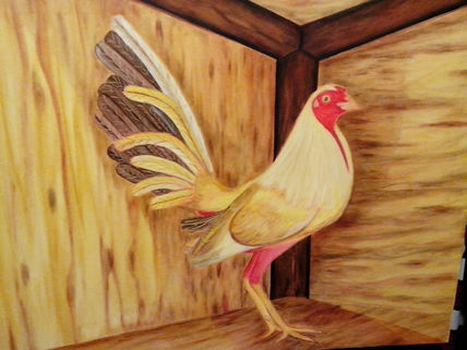 Gallo de Pelea