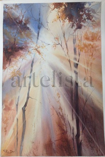 Arquitectura de la luz Watercolour Paper Landscaping