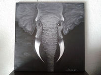 Elefante