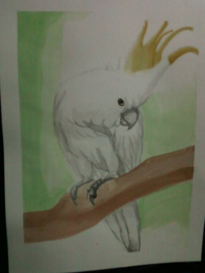 cacatua copete amarillo Watercolour Paper Landscaping