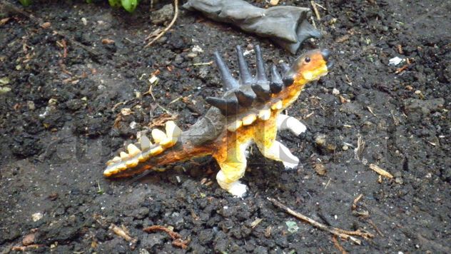 POLACANTHUS