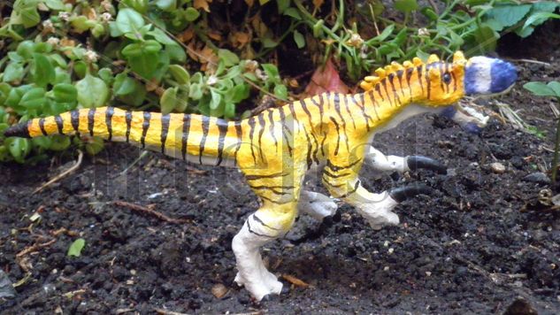 MEGARAPTOR Mixta Figurativa