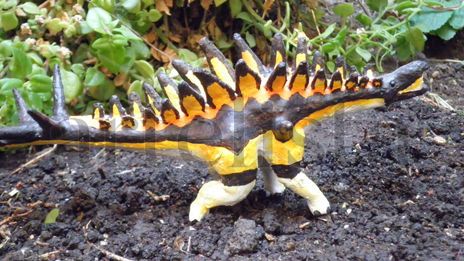 Tuojiangosaurus