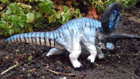Torosaurus