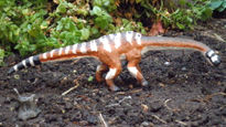 Barapasaurus