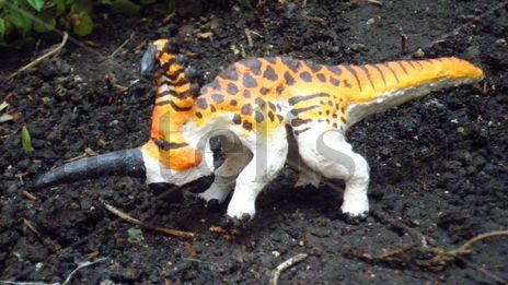 Centrosaurus
