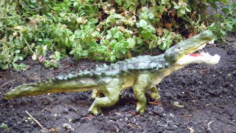 Deinosuchus