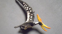 Pteranodon