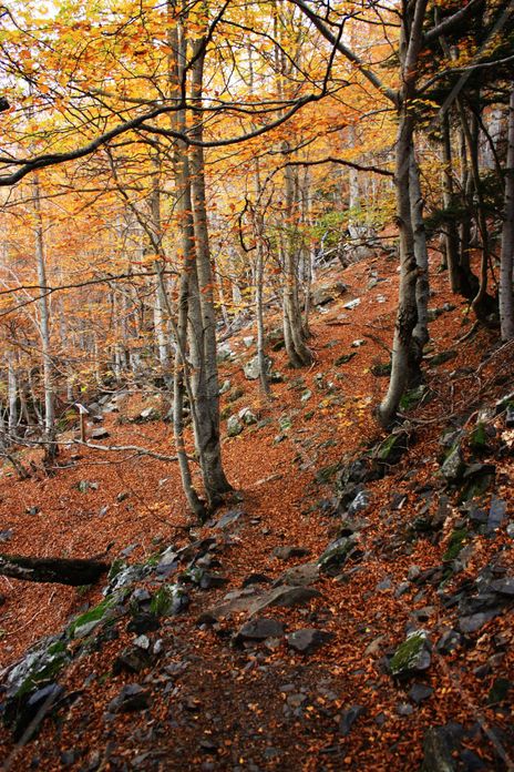 Otoño