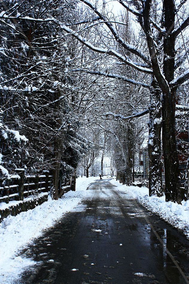 invierno