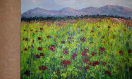 PAISAJES MALLORQUINES