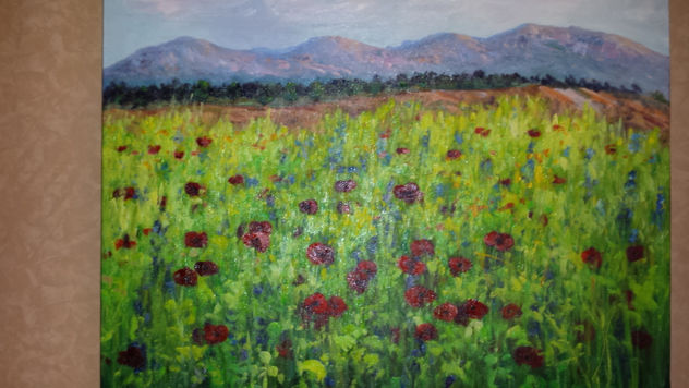 CAMPO AMAPOLAS
