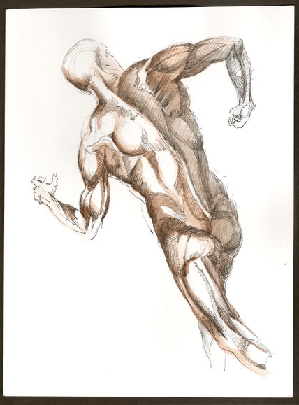 Anatomías 1