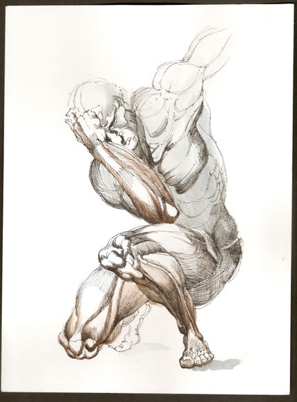 Anatomías 2
