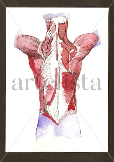 Anatomías 7 Ink