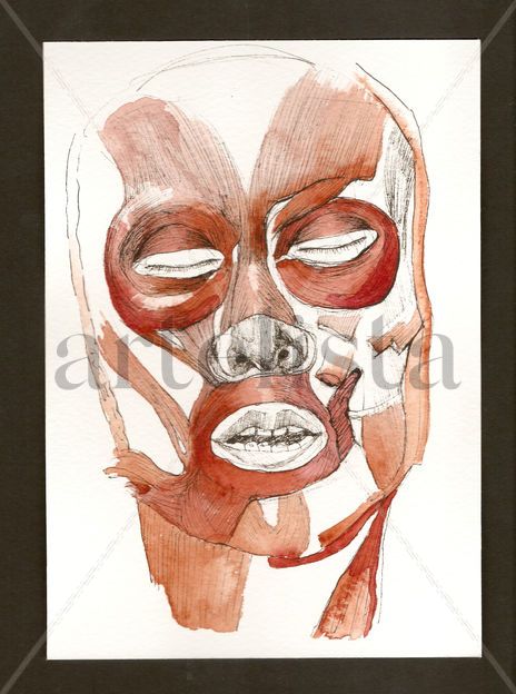 Anatomías 8