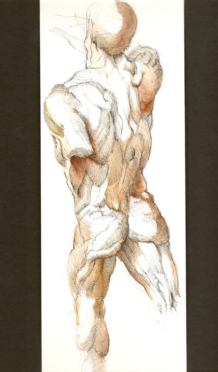 Anatomías 19