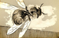 Abeja02