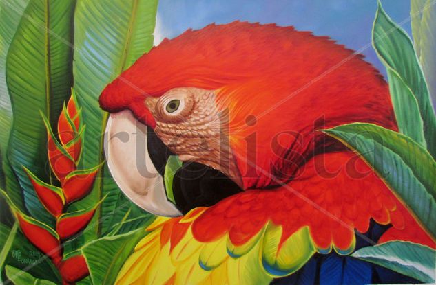 Red Mcaw Oil Canvas Animals