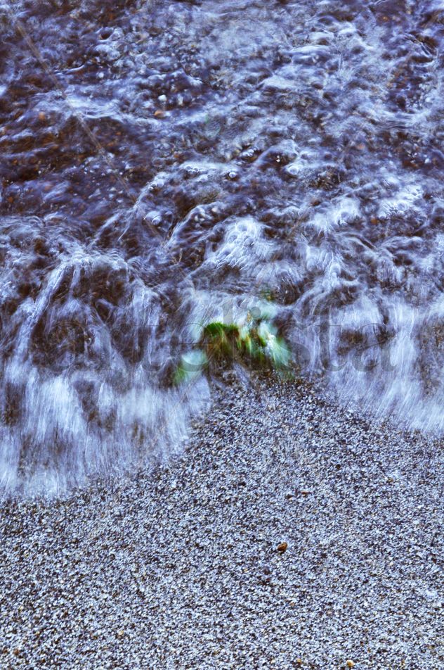 H2O