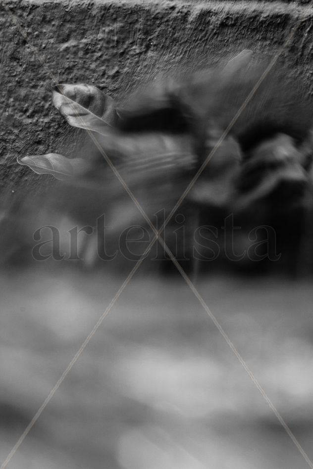 Serie: Quebrando la retina