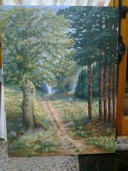 Mi bosque