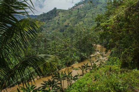 Taría, Yaracuy