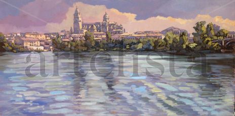 Salamanca desde el...