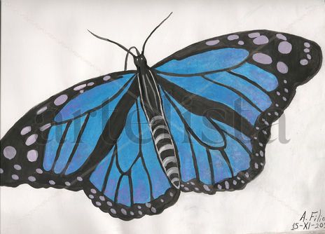 Azul y violeta