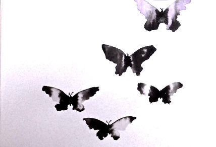 Volare