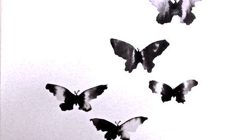 mariposas