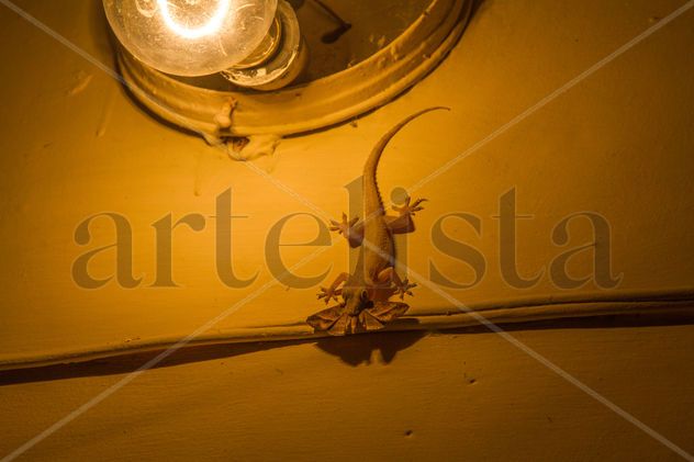 Es incómodo comer en la oscuridad (con la luz apagada)