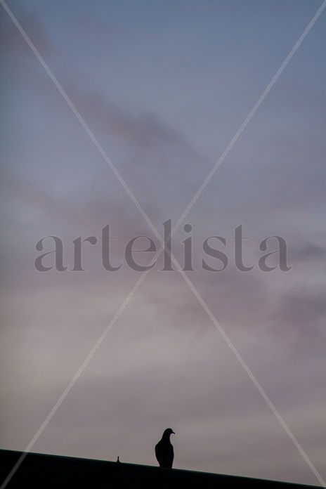 Serie: La...