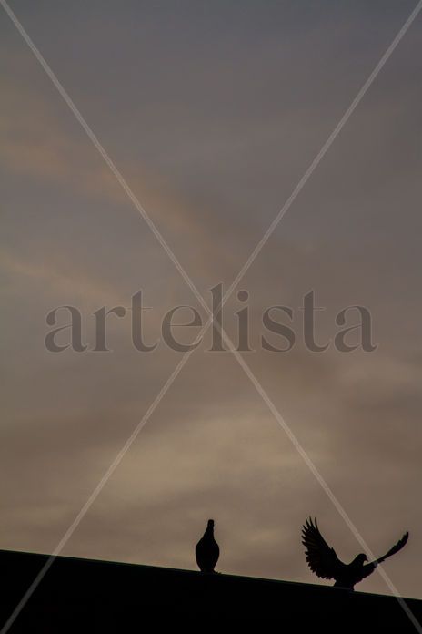 Serie: La...