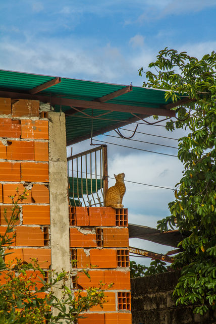 Es tan simple un salto