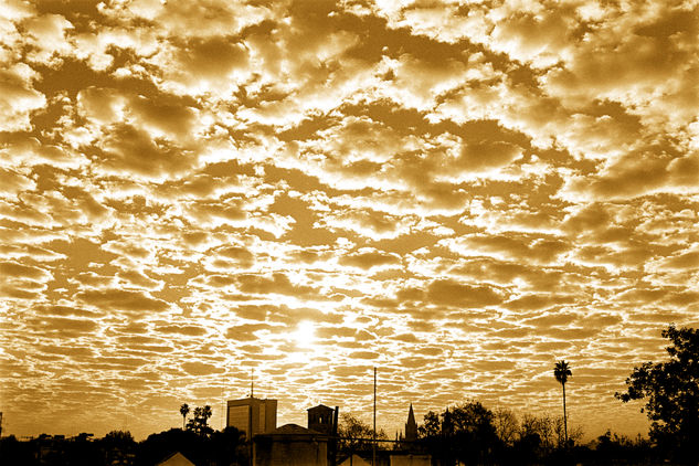 Amanecer Naturaleza Blanco y Negro (Química)