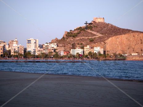 Aguilas