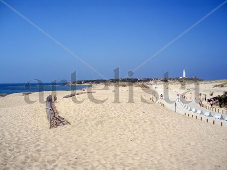 Cadiz